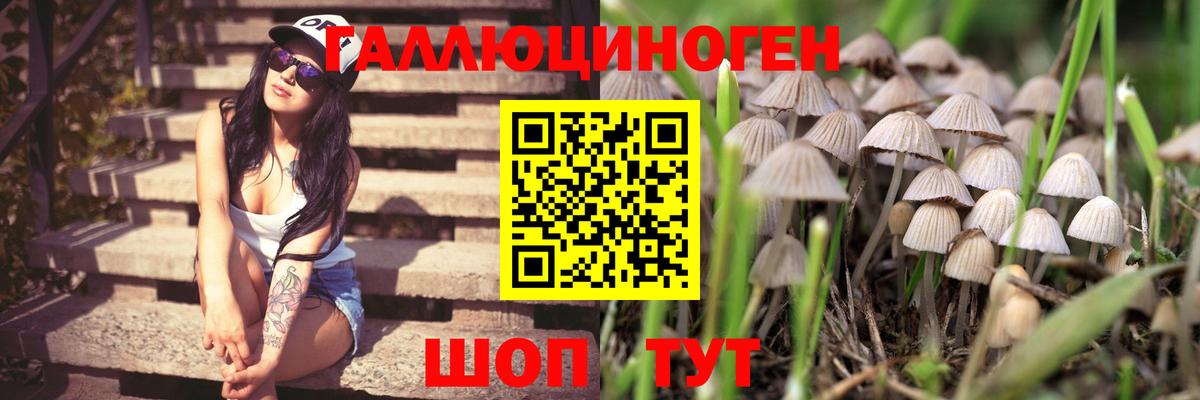 Псилоцибиновые грибы мухоморы Фролово